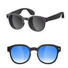 Zenithi Pulse AI Glasses